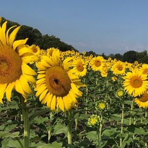 Meet your Posher, Lexi